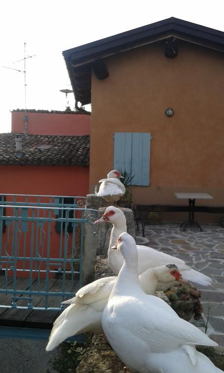 Agriturismo Il Gelso Traversetolo Bagian luar foto