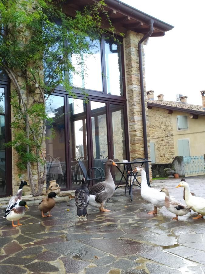 Agriturismo Il Gelso Traversetolo Bagian luar foto